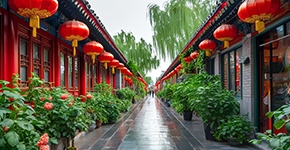 皇家童行(親子歡樂游)4晚5天